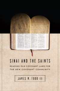 sinai and the saints